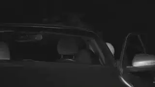 Live With It Trailer 1