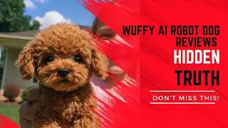 Wuffy AI Robot Dog Reviews 2025: All Truth about Wuffy AI Robot Dog