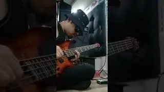 Live Looping #ampero #hotones #bass #nepali