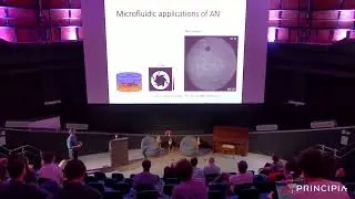 Rodrigo Coelho: Pumping and mixing in active nematics