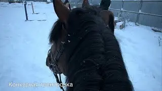 Конкурная тренировка 