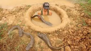 Amazing Fish Trap System | Create a Fish Trap System In The Ground With Egg Bait