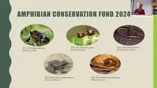The Amphibian Conservation Fund of Stiftung Artenschutz