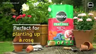 Miracle-Gro Peat Free Rose, Tree & Shrub Compost