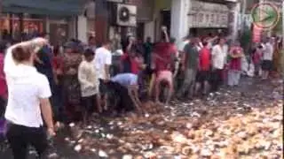 Thaipusam Penang Best Coconut smashing compilation