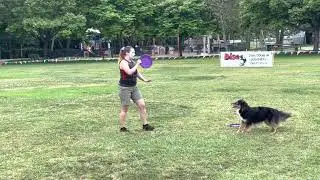 Flying Canines X @FurrariAussies ~ Skyhoundz Qualifier 2023 Highlights (Sora, Muse, & Punky)