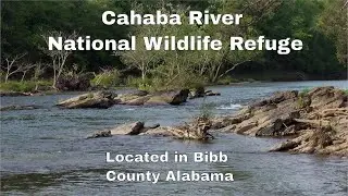 Cahaba River National Wildlife Refuge - A great place to visit!