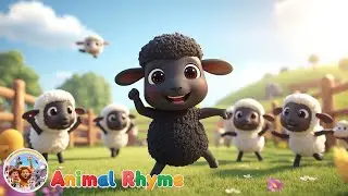 Baa Baa Black Sheep | Jack&rsquo;s Viral Wiggle Dance | Gross Motor Skills