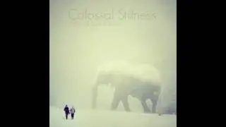 Scott Holmes - Colossal Stillness