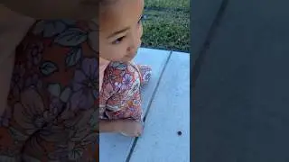 WATCH UNTIL THE END&hellip; poor bug 🤦🏾&zwj;♀️🫢