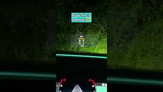 Parking sensors in the HUD that tell you the exact distance you are away from something! 🔥