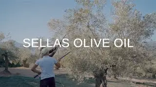 Sellas Olive Oil Company Video