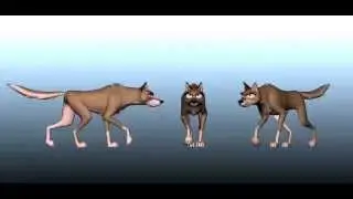 Quadruped walkcycle test