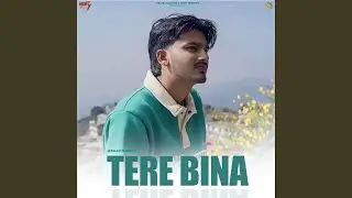 TERE BINA