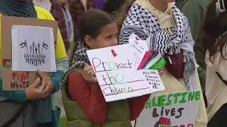 Rally at capitol calls for cease-fire in Gaza, Israel