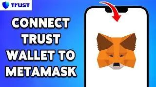 How To Connect Trust Wallet To MetaMask 2024 | Trust Wallet & MetaMask Wallet Integration