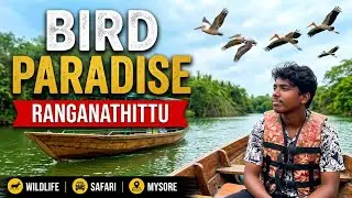 Boat Trip to Ranganathittu Bird Sanctuary | Coorg Karnataka #RanganathittuBirdSanctuary #boatsafari