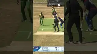 Records tumble in Samoa😲 #cricket #cricketshorts #ytshorts #t20worldcup