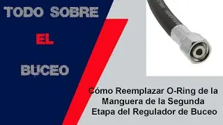 Cómo Reemplazar O Ring de la Manguera de la Segunda Etapa del Regulador de Buceo