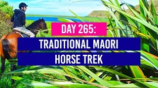 DAY 265 🐴 Maori Horse Trekking Tour in the East Cape - New Zealand Travel