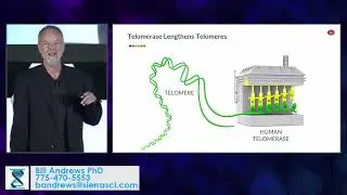 RAADfest 2022