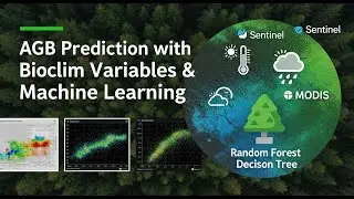 Above Ground Biomass Estimation with Climate Variables | Variable Importance & Correlation Analysis