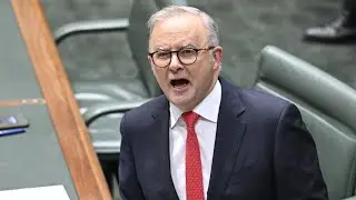 &lsquo;Not good legislation&rsquo;: Labor&rsquo;s environment laws pass parliament