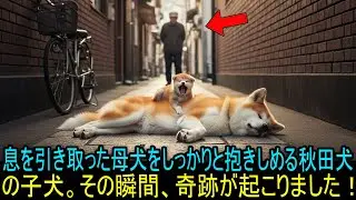 息を引き取った母犬をしっかりと抱きしめる秋田犬の子犬。その瞬間、奇跡が起こりました！