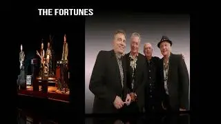 The Sensational 60’s Experience