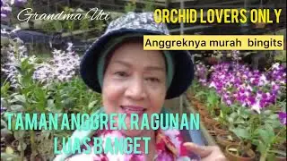 TAMAN ANGGREK RAGUNAN - PASAR MINGGU II JAKARTA II ORCHID LOVERS ONLY II MURAH BANGET