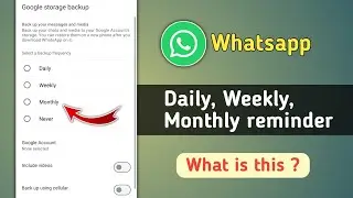 What is Daily Weekly Monthly Reminder on Whatsapp