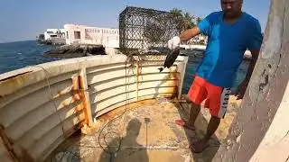 Buhay mangingisda #fishtrapping #parrotfish may pang ulam na@jtvmixvlogs