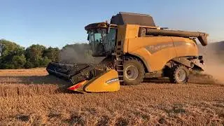 Sestřih ze žn&iacute; 2xNew Holland cx8.80 ZERA R&aacute;jec.