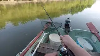 WILD CARP FISHING.. ..FOLYAMI BANDANAGY...FHD