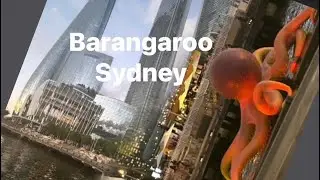 #barangaroo#sydneyview#ilovesydney#thingstodo#sydney#australia#citytour#citylife#cityscape#travel
