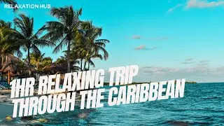 1 Hour Relaxing ASMR through the Caribbean