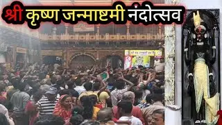 श्री कृष्ण जन्माष्टमी नंदोत्सव मथुरा द्वारकाधीश मंदिर