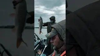 Скоро новый выпуск на канале 🫡✅ #рыбалка #fishing #fish #camping #youtubeshorts #youtube #shorts