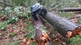 Forest RedCat Everest 10#ford #raptor #canada #britishcolumbia #crawler #stumping #redcat