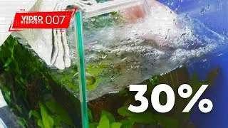 Cambio d'acqua può alterare i batteri del filtro? - VIDEO RISPOSTA 007