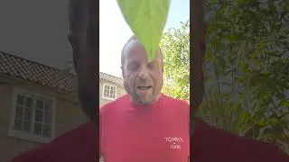 Yahyel - Final Warning to Humanity