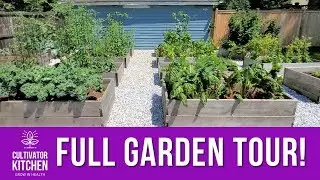 Full Garden Tour! My Summer 2019 Raised Bed Garden