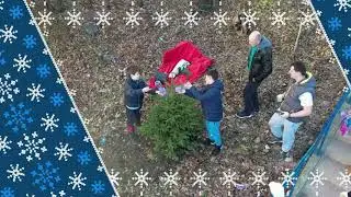 Planting Christmas tree, January 2023 / Засаждане на коледна елха, Януари 2023