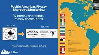 Great Basin Bird Observatory Winter Lecture Series: Intermountain West Shorebird Survey update