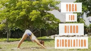 Learn Spanish & Practice Yoga with Melina | Yoga For Blood Circulation | Lingopie