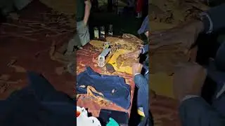 Мастер-класс от торседора в Москве