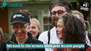The Wildlife Trusts: Our impact in 2024 thanks to your support