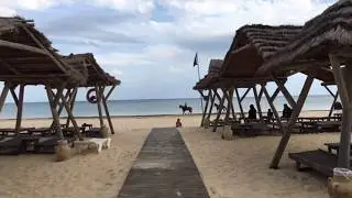 Mar-19 #VideoWalks