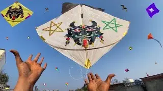 4 Tawa patang loot li 😍| Kite looting new video 🪁🔥| kite | Patang 🪁 