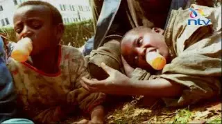 Kenya has 46,639 street children and families - Census